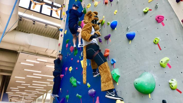Nittany Lion on the rock wall